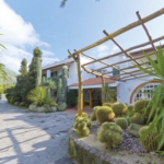 Hotel Mediterraneo Haupt - Park Hotel Terme Villa Mediterraneo